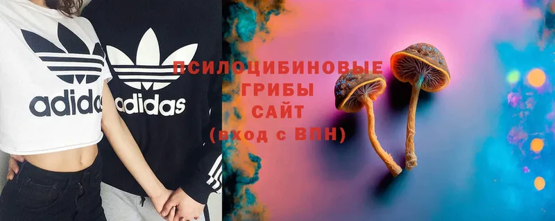 Галлюциногенные грибы Magic Shrooms  Новоульяновск 